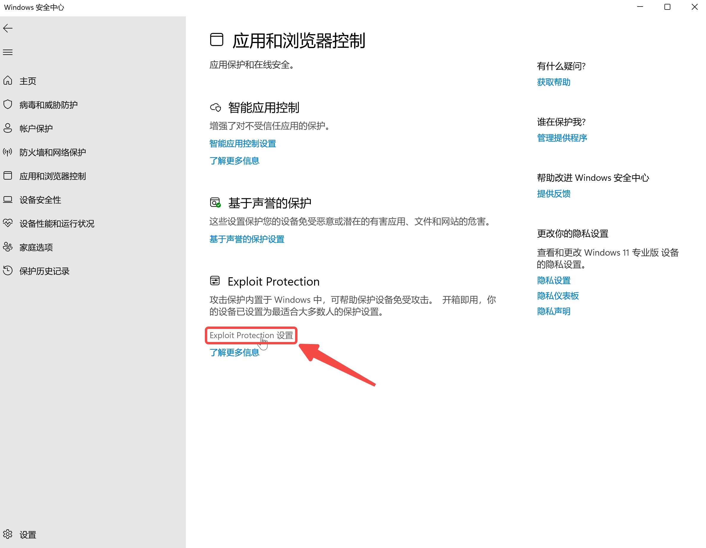 进入“Exploit Protection”设置.jpg