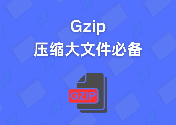 什么是Gzip格式文件？怎么打开Gzip文件？