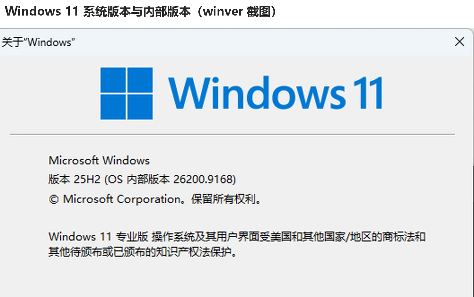 winver 关于 Windows 窗口截图，显示 Windows 11 与版本、内部版本号-软领驱动大师