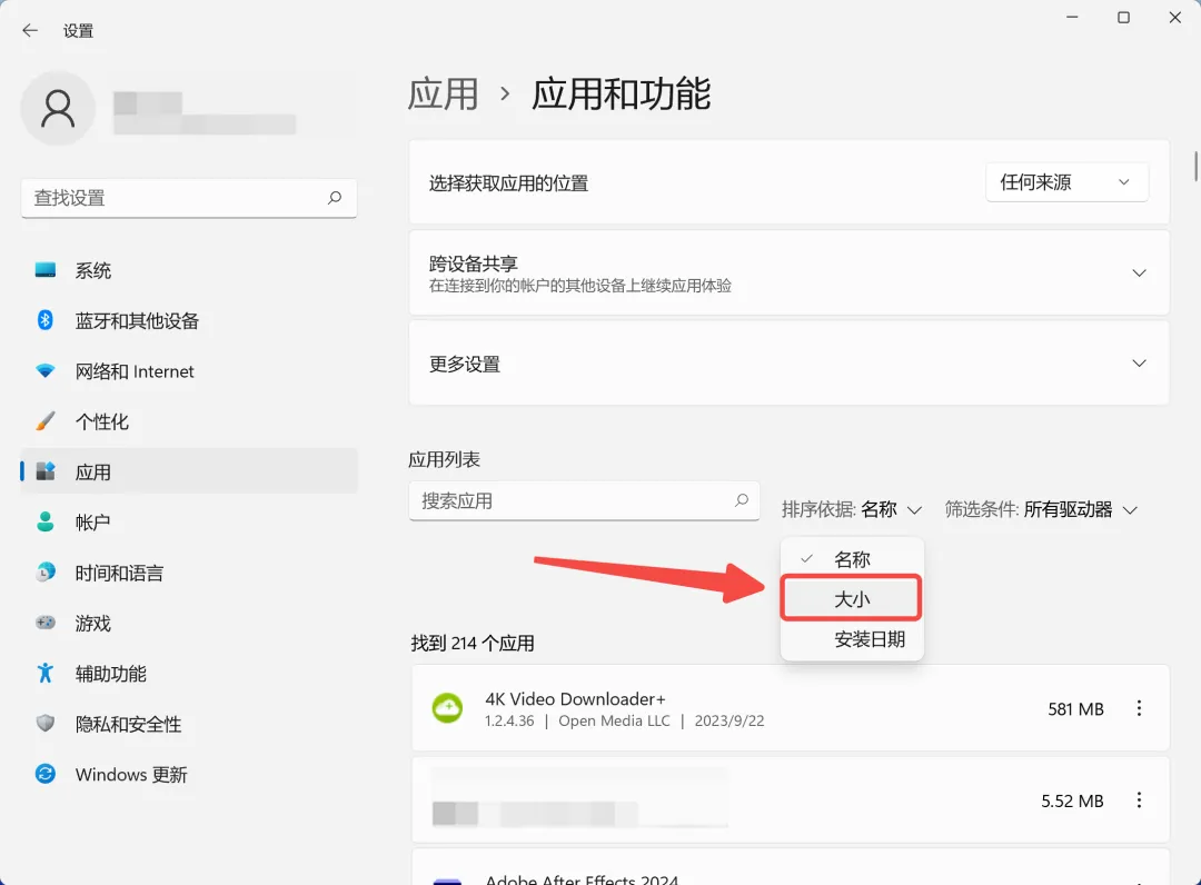 查看占用空间较大的应用.webp