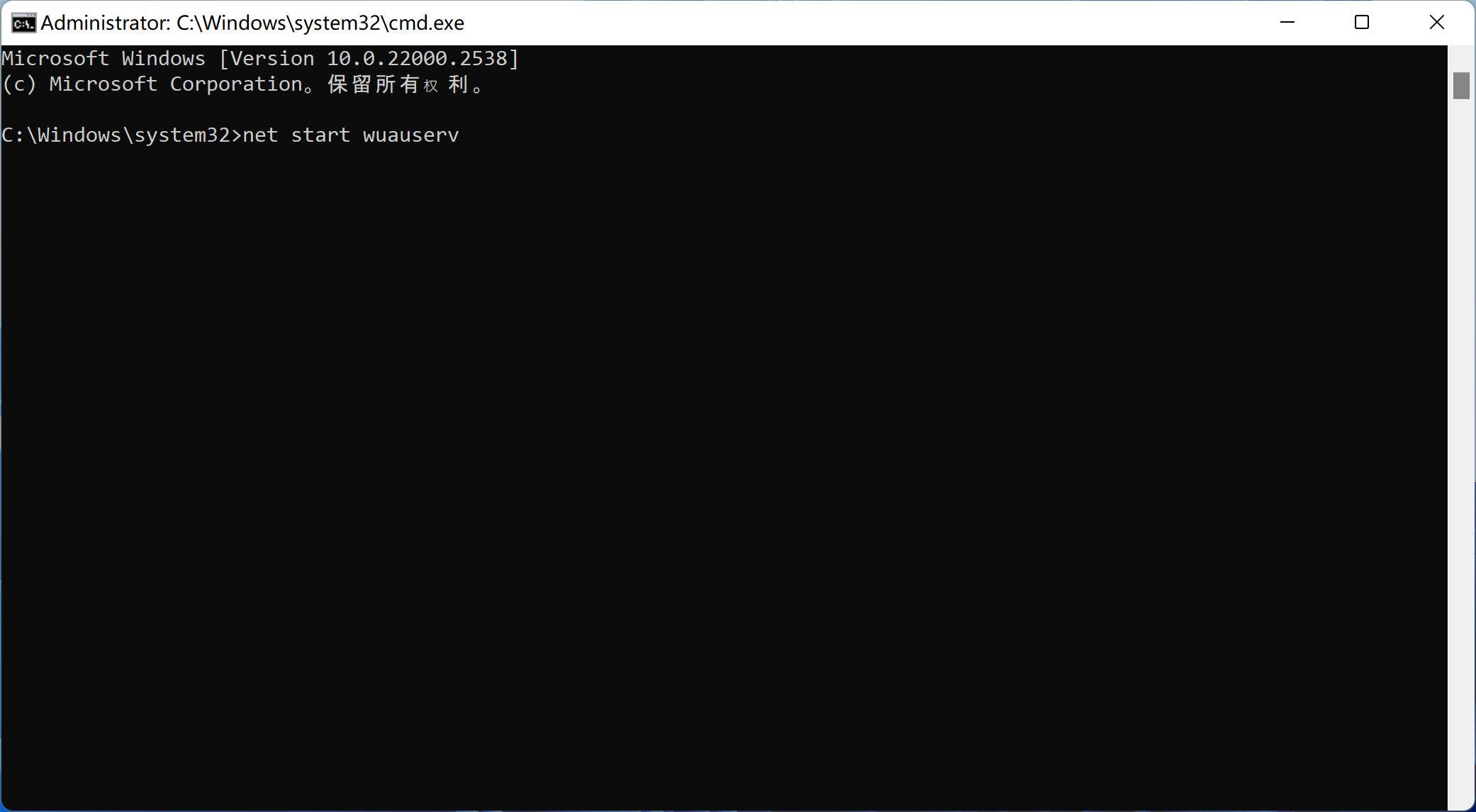 在命令提示符输入net start wuauserv.jpg